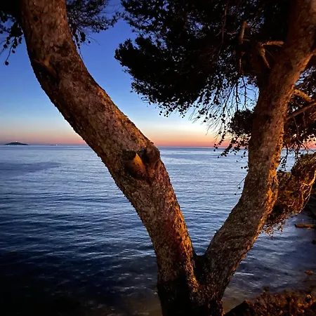 Bord De - Sur * Sanary-sur-Mer